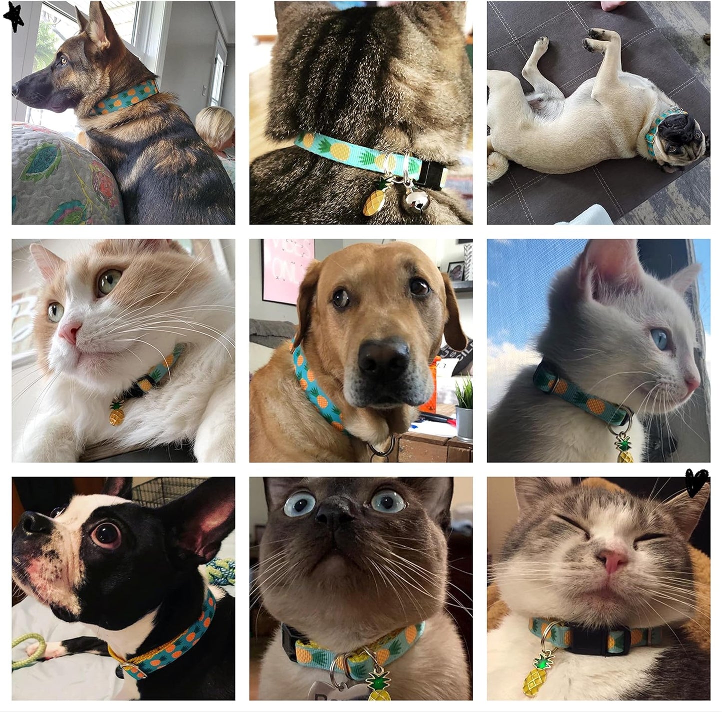 Pet Supplies, (Tropical Pineapple) Cat Collar, Dog Collar, Cat Leash, Dog Leash, Small Dog Collar, Medium Dog Collar, Large Dog Collar (Pet Collar, XXS)